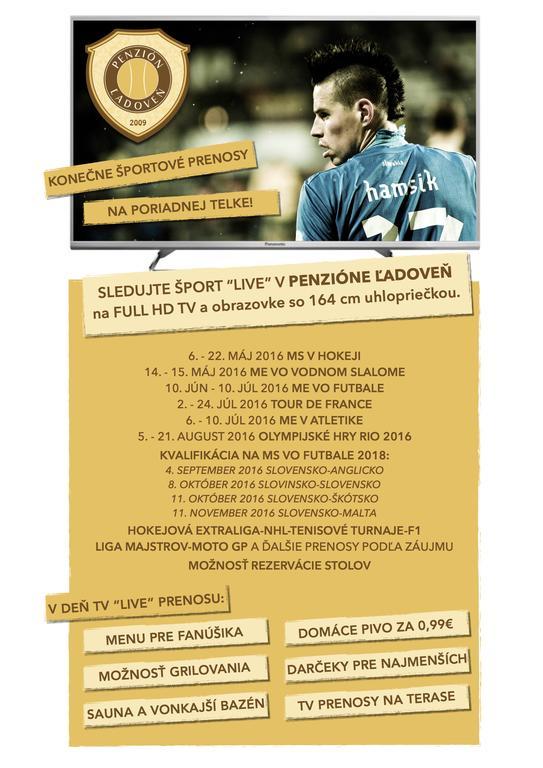 Penzión Ľadoveň Martin Exterior foto